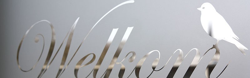 Raamfolie met vogeltjes