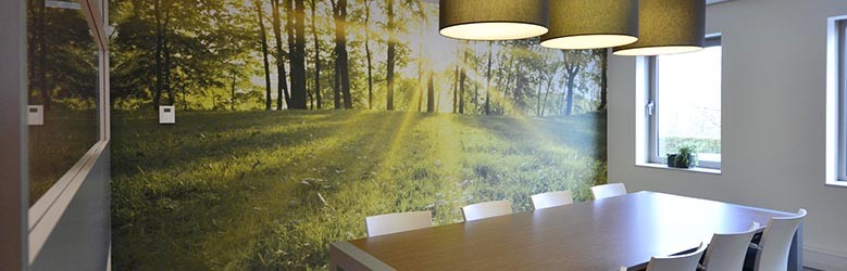 Fotobehang met bos, 3 inspirerende voorbeelden!