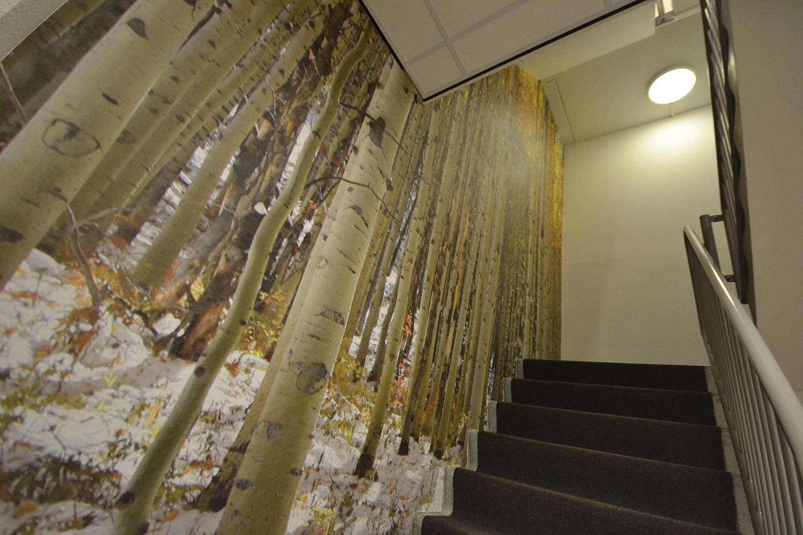 fotobehang bos trappenhuis