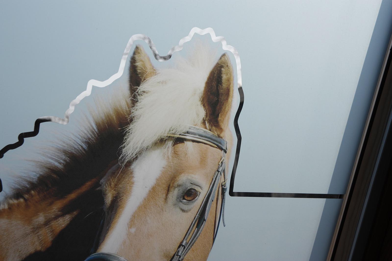 raamfolie bedrukt detail