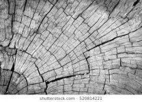 old-gray-cracked-wood-texture-260nw-520814221