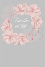 raamfoie-voordeur-met-bedrukking