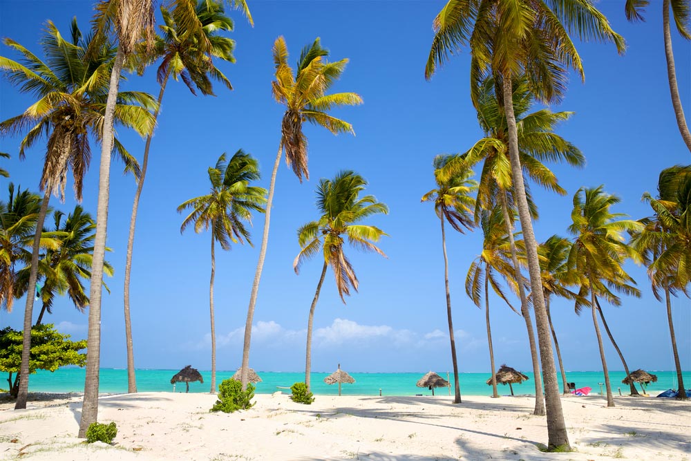 Fotobehang Fotobehang Tropisch strand palmbomen