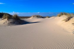 Duinen_559881205