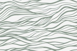 Rfh015