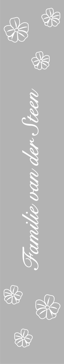 Rfv003-016