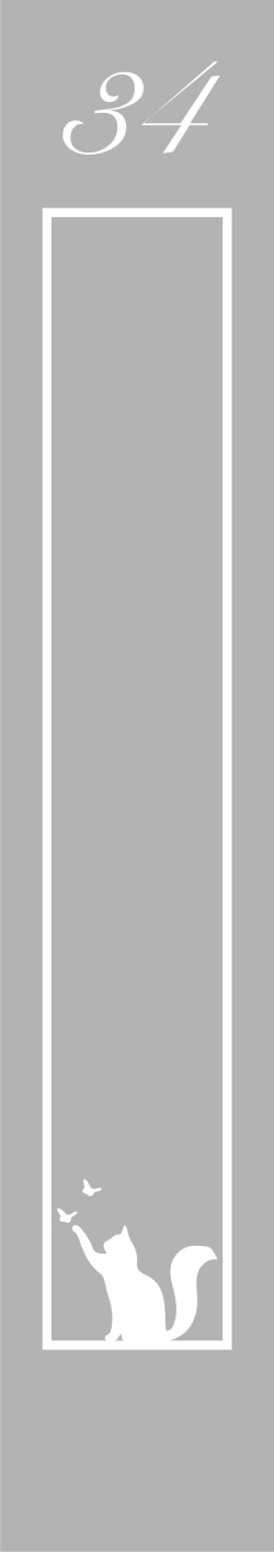 Rfv004-01