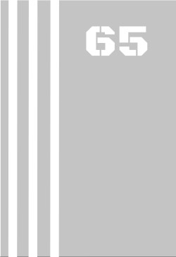 Rfv0127_v