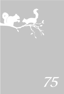 Rfv0146_v