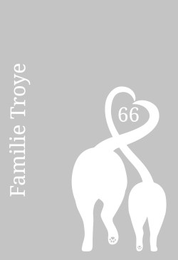 Rfv01641