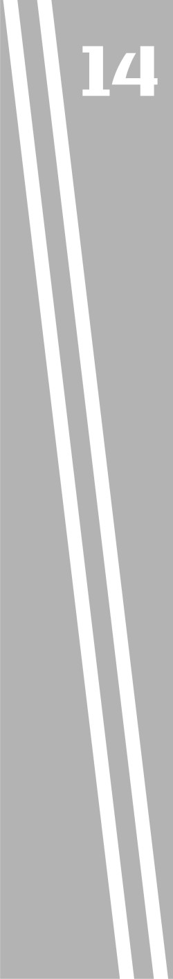 Rfv030-01