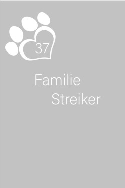 Rfv090-02