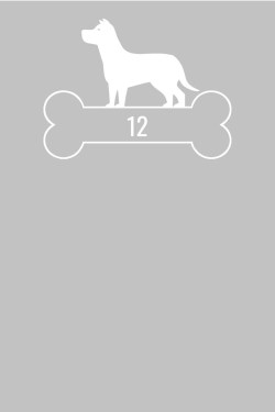 Rfv115-02