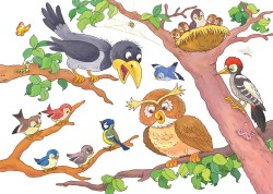 dieren1_524807935