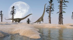 dino_184335797