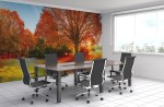 fotobehang-herfstbos-kantoor