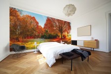 fotobehang-herfstbos-slaapkamer
