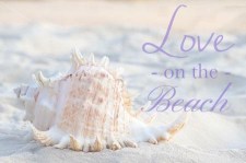 love_on_the_beach
