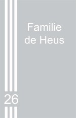 raamfolie-voordeur-01