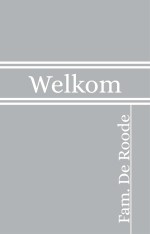 raamfolie-voordeur-06