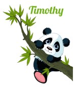 timothy