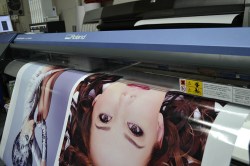 vinylstickers-worden-geprint